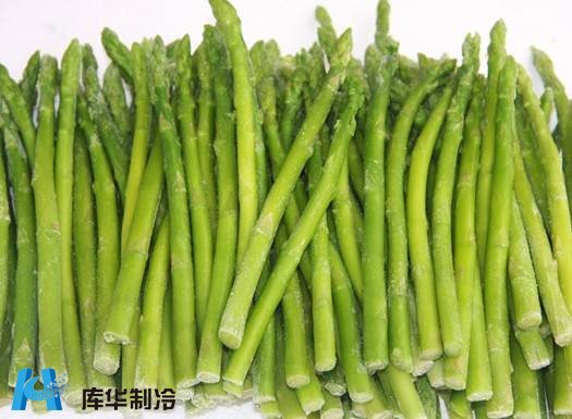 浙江杭州富陽區(qū)安裝150平方蘆筍保鮮冷庫(kù)推薦