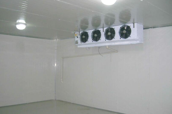 建造一個果蔬保鮮冷庫需要多少錢?